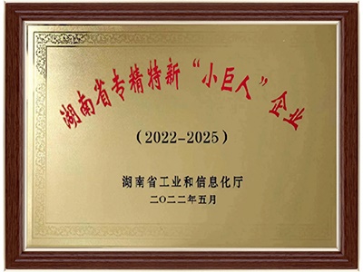 湖南省專精特新“小巨人”企業
